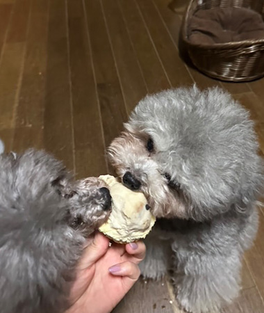 すぐに食べてくれた