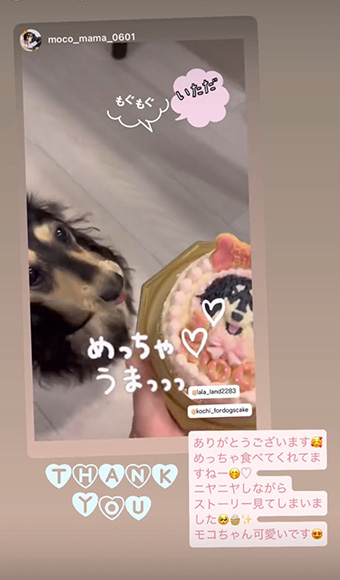 クオリティが高く感動しました