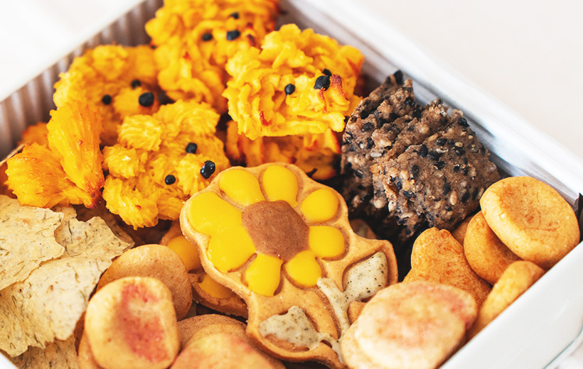 高知の自然の恵みを、全国のわんちゃんへ