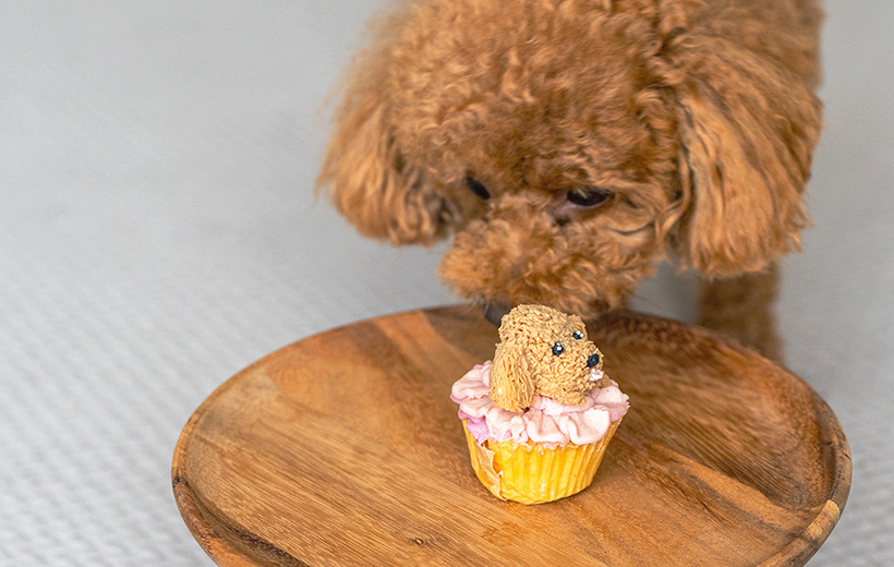 小さなお店から、しあわせのひとくちを